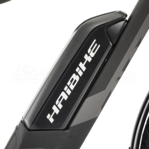 Haibike sDuro Trekking 1.0 2020 Bosch e bikeshop